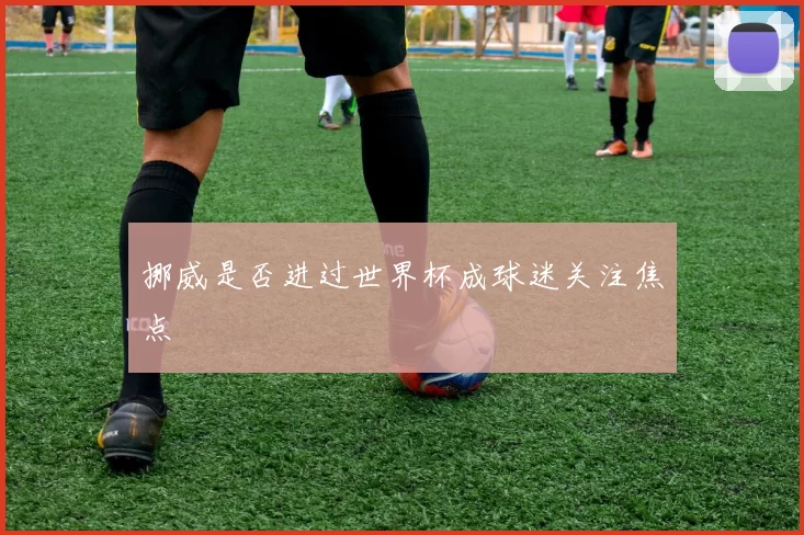 挪威是否进过世界杯成球迷关注焦点
