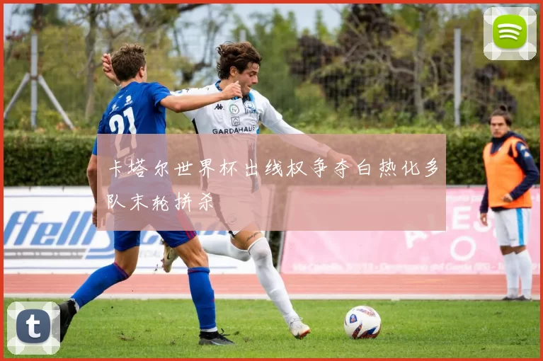 卡塔尔世界杯出线权争夺白热化多队末轮拼杀