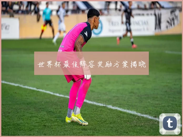 世界杯最佳阵容奖励方案揭晓