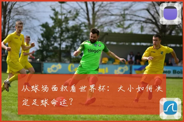 从球场面积看世界杯：大小如何决定足球命运？