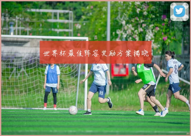 世界杯最佳阵容奖励方案揭晓
