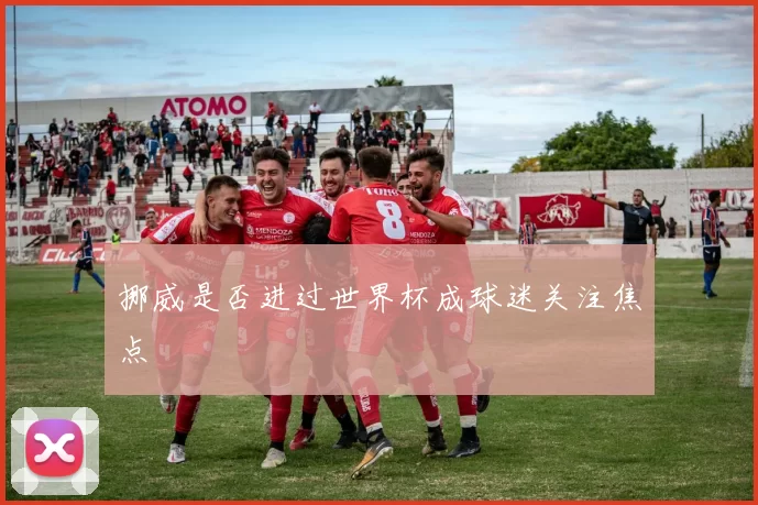 挪威是否进过世界杯成球迷关注焦点