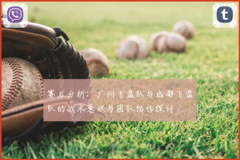 赛后分析：广州飞盘队与成都飞盘队的战术意识与团队协作探讨