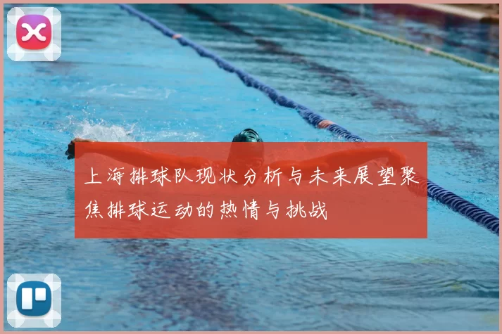 上海排球队现状分析与未来展望聚焦排球运动的热情与挑战