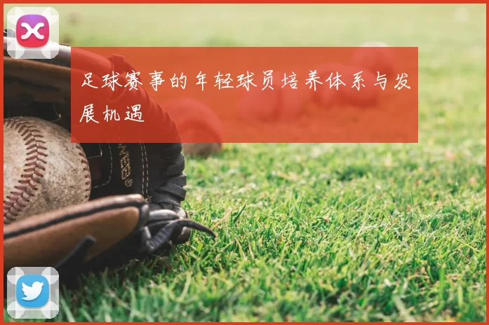 足球赛事的年轻球员培养体系与发展机遇