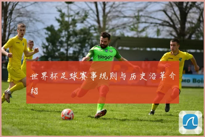 世界杯足球赛事规则与历史沿革介绍