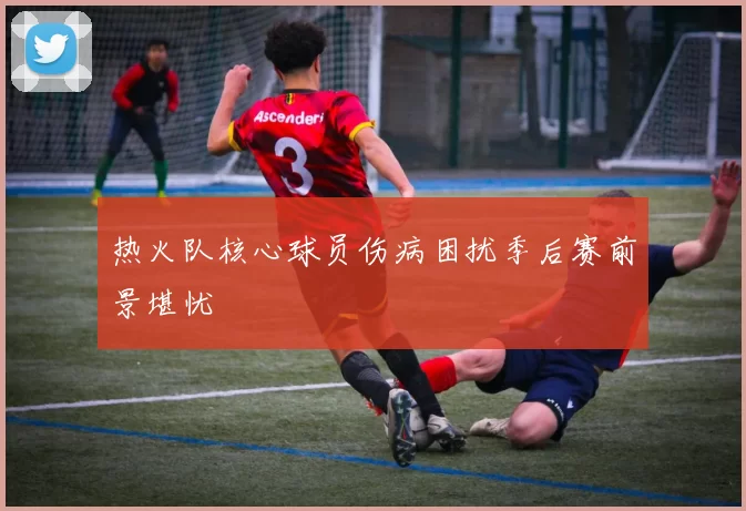 热火队核心球员伤病困扰季后赛前景堪忧