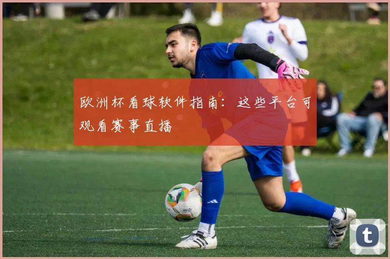 欧洲杯看球软件指南:这些平台可观看赛事直播